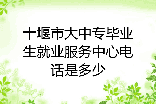 十堰市大中专毕业生就业服务中心电话是多少