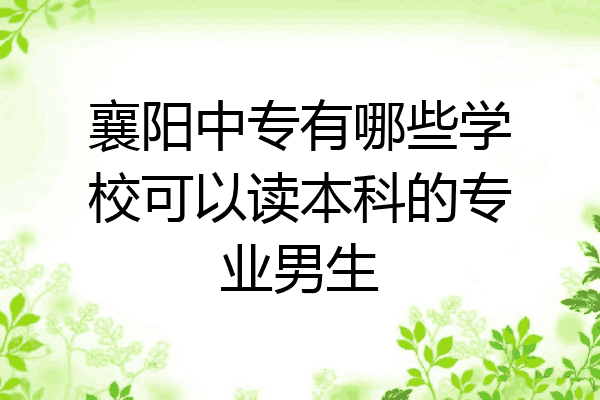 襄阳中专有哪些学校可以读本科的专业男生
