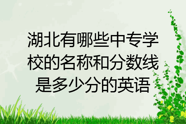 湖北有哪些中专学校的名称和分数线是多少分的英语