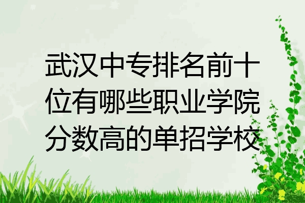 武汉中专排名前十位有哪些职业学院分数高的单招学校
