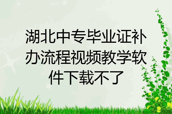 湖北中专毕业证补办流程视频教学软件下载不了
