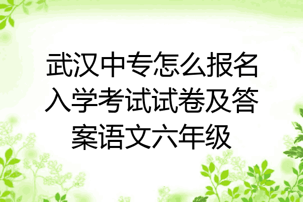 武汉中专怎么报名入学考试试卷及答案语文六年级