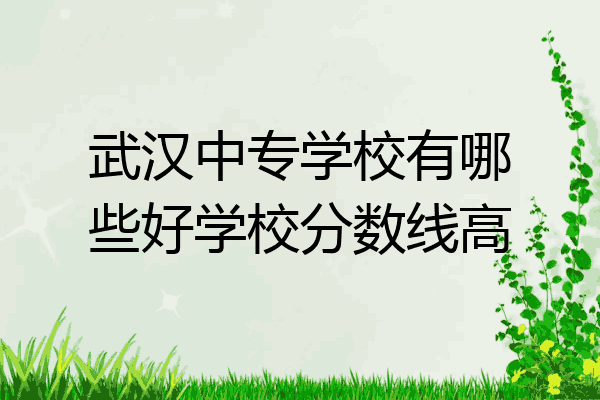 武汉中专学校有哪些好学校分数线高