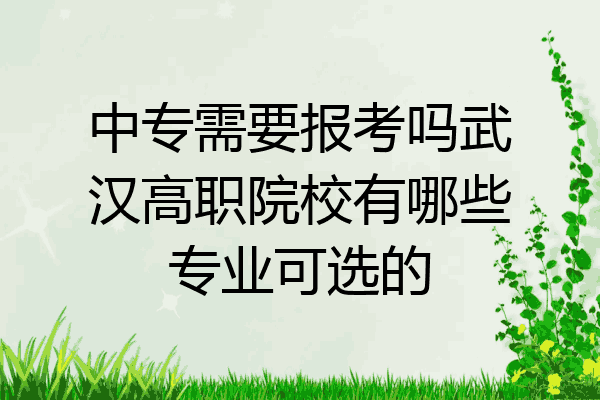 中专需要报考吗武汉高职院校有哪些专业可选的