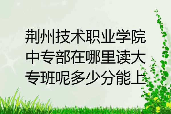 荆州技术职业学院中专部在哪里读大专班呢多少分能上