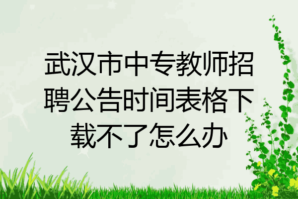 武汉市中专教师招聘公告时间表格下载不了怎么办