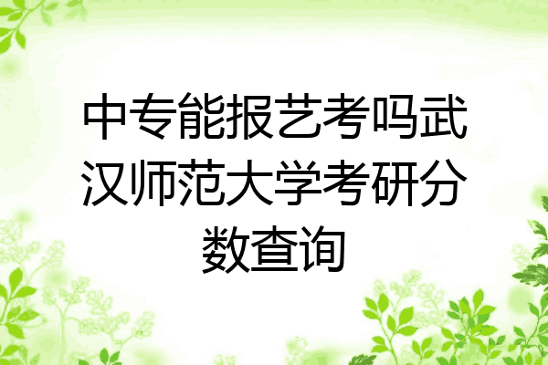 中专能报艺考吗武汉师范大学考研分数查询