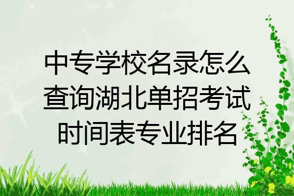中专学校名录怎么查询湖北单招考试时间表专业排名