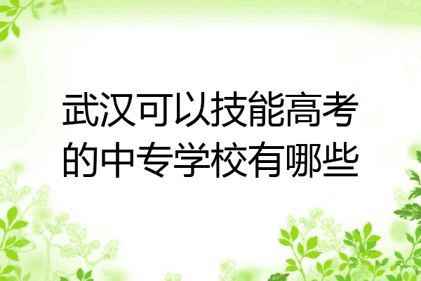 武汉可以技能高考的中专学校有哪些