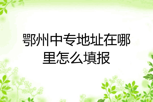 鄂州中专地址在哪里怎么填报