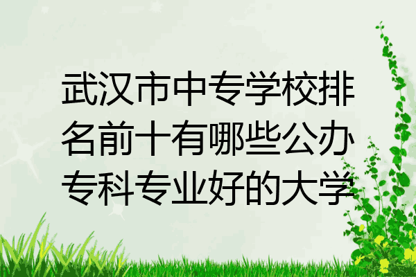 武汉市中专学校排名前十有哪些公办专科专业好的大学