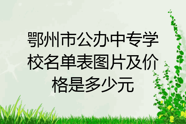 鄂州市公办中专学校名单表图片及价格是多少元