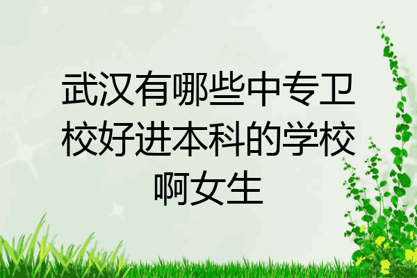 武汉有哪些中专卫校好进本科的学校啊女生