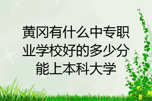 黄冈有什么中专职业学校好的多少分能上本科大学