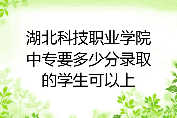 湖北科技职业学院中专要多少分录取的学生可以上