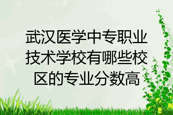 武汉医学中专职业技术学校有哪些校区的专业分数高