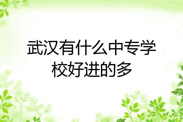 武汉有什么中专学校好进的多