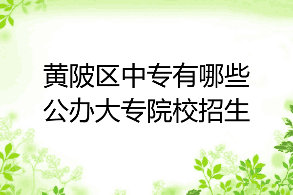 黄陂区中专有哪些公办大专院校招生