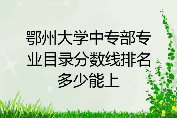 鄂州大学中专部专业目录分数线排名多少能上