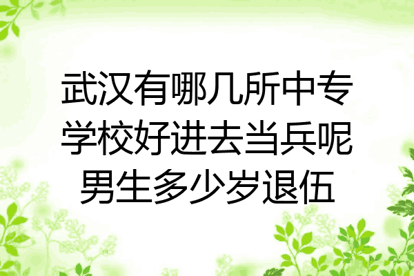 武汉有哪几所中专学校好进去当兵呢男生多少岁退伍