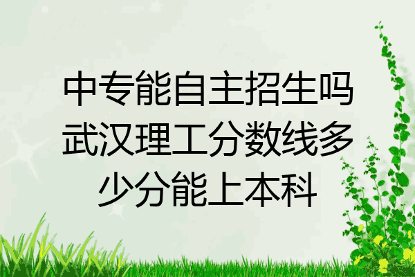 中专能自主招生吗武汉理工分数线多少分能上本科