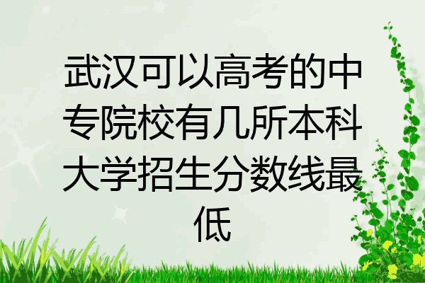 武汉可以高考的中专院校有几所本科大学招生分数线最低