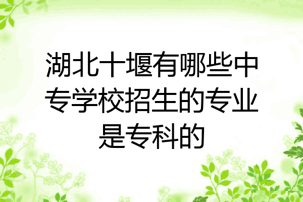 湖北十堰有哪些中专学校招生的专业是专科的