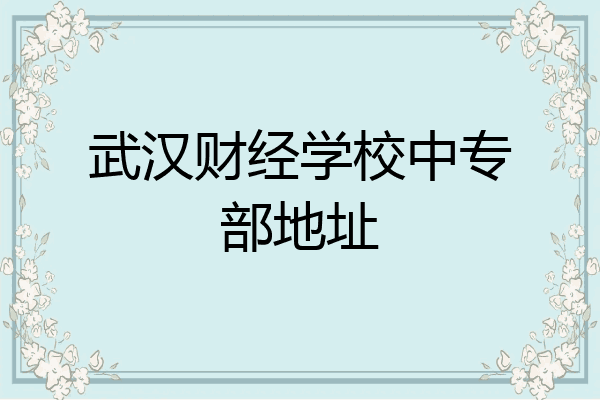武汉财经学校中专部地址