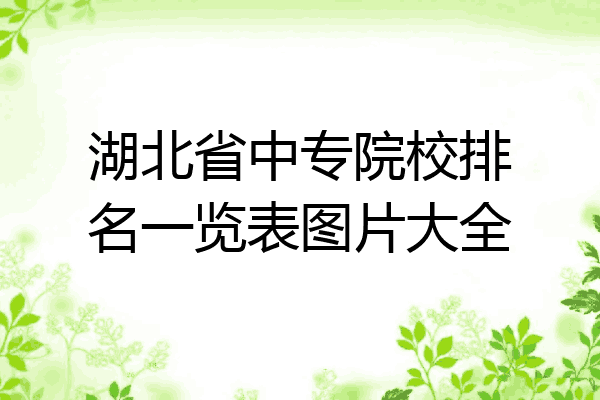 湖北省中专院校排名一览表图片大全