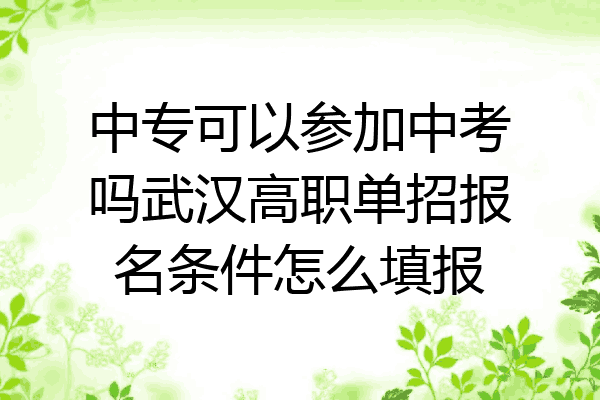 中专可以参加中考吗武汉高职单招报名条件怎么填报