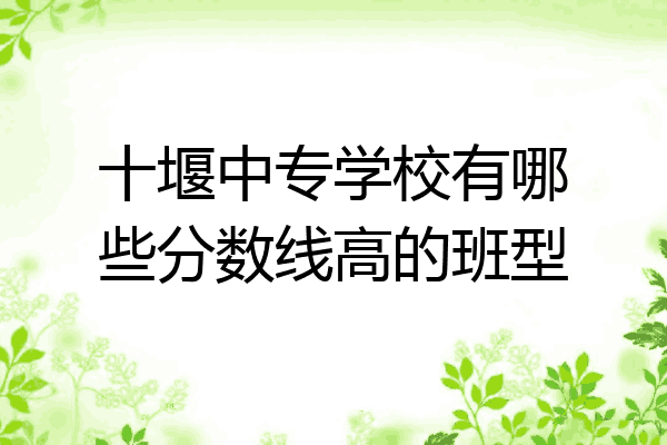 十堰中专学校有哪些分数线高的班型