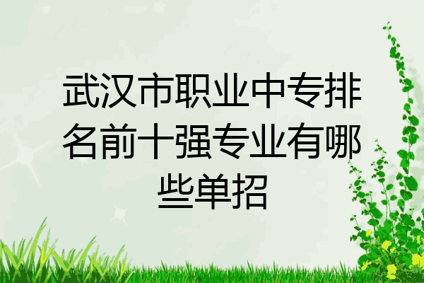 武汉市职业中专排名前十强专业有哪些单招