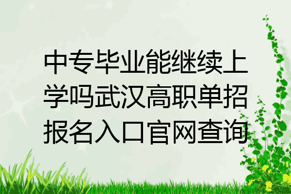 中专毕业能继续上学吗武汉高职单招报名入口官网查询