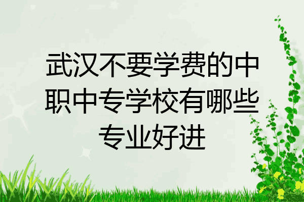 武汉不要学费的中职中专学校有哪些专业好进