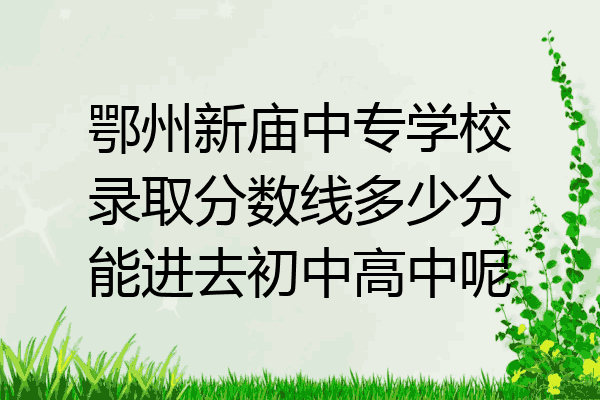 鄂州新庙中专学校录取分数线多少分能进去初中高中呢