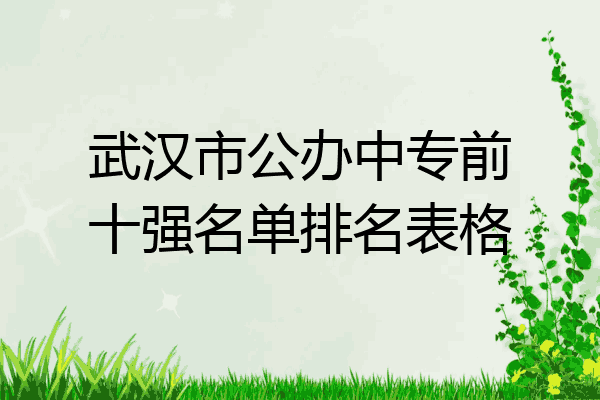 武汉市公办中专前十强名单排名表格