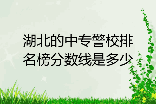 湖北的中专警校排名榜分数线是多少
