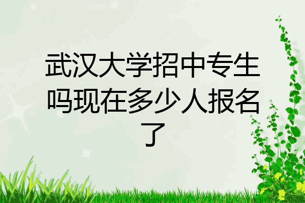 武汉大学招中专生吗现在多少人报名了