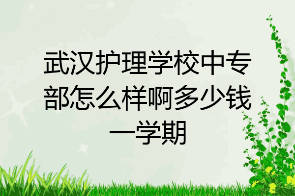 武汉护理学校中专部怎么样啊多少钱一学期