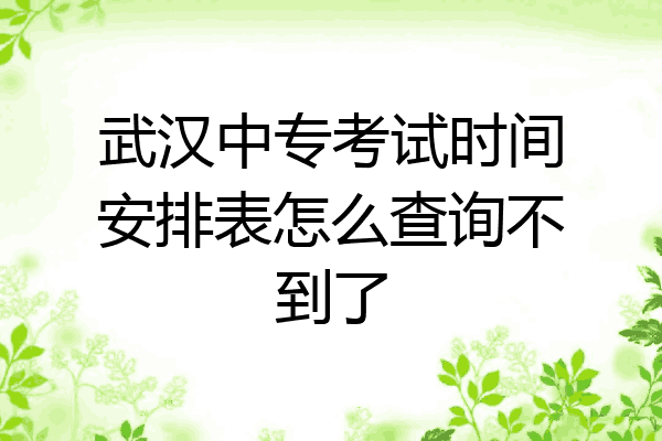 武汉中专考试时间安排表怎么查询不到了