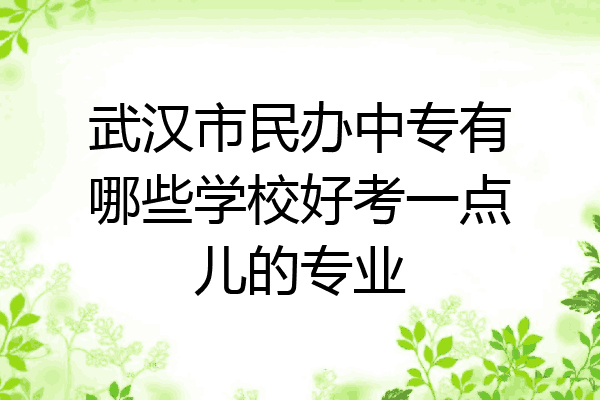武汉市民办中专有哪些学校好考一点儿的专业