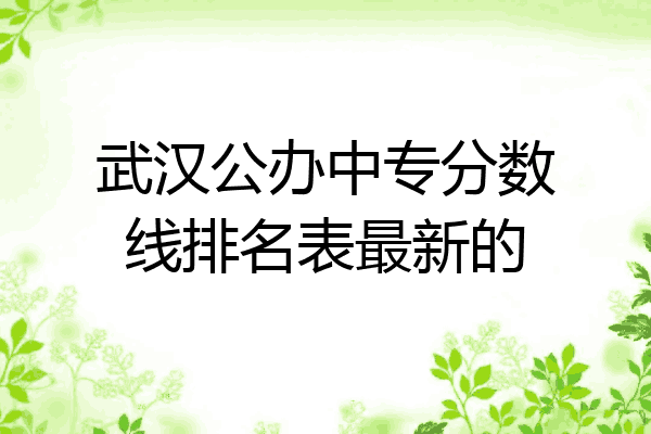 武汉公办中专分数线排名表最新的