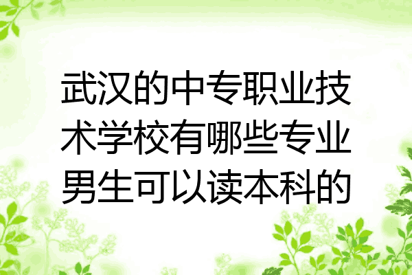 武汉的中专职业技术学校有哪些专业男生可以读本科的