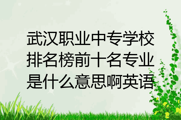 武汉职业中专学校排名榜前十名专业是什么意思啊英语