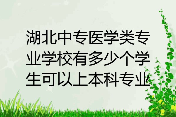 湖北中专医学类专业学校有多少个学生可以上本科专业
