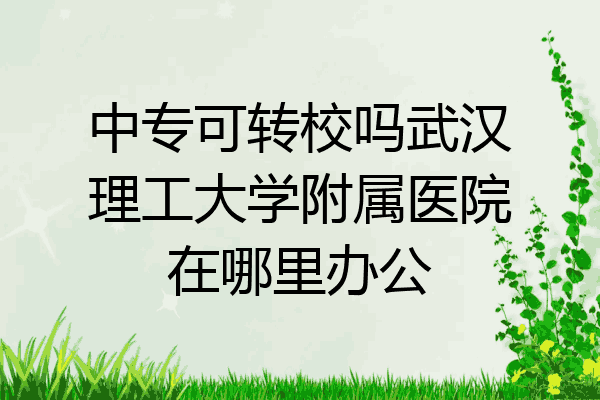 中专可转校吗武汉理工大学附属医院在哪里办公