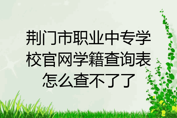 荆门市职业中专学校官网学籍查询表怎么查不了了
