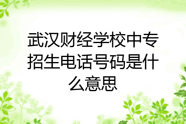 武汉财经学校中专招生电话号码是什么意思