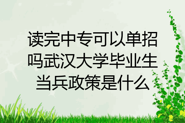 读完中专可以单招吗武汉大学毕业生当兵政策是什么