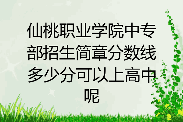 仙桃职业学院中专部招生简章分数线多少分可以上高中呢